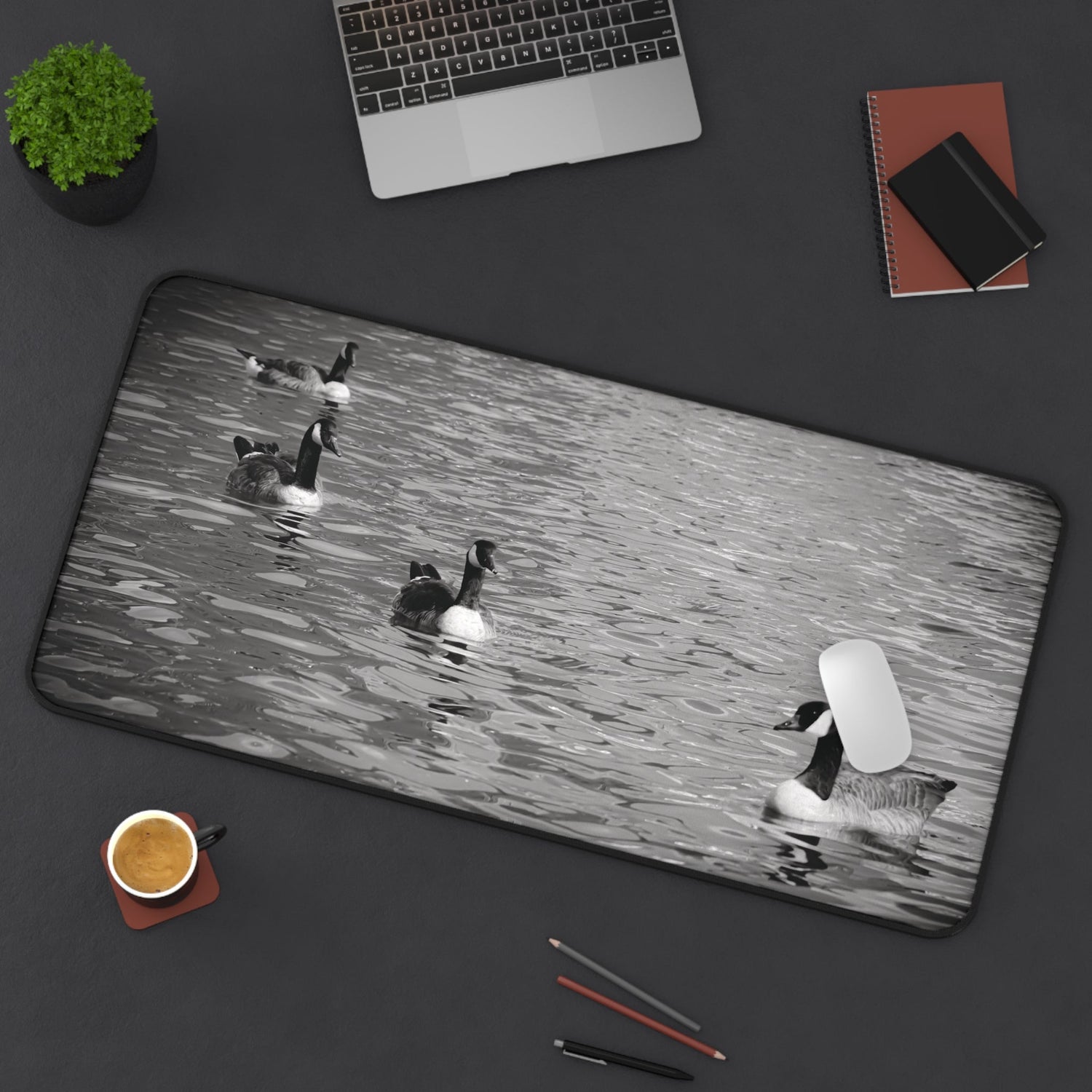 Office Essentials
