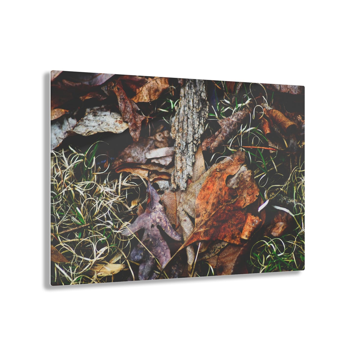 Nature-Inspired Fall Leaves Wall Art Decor
