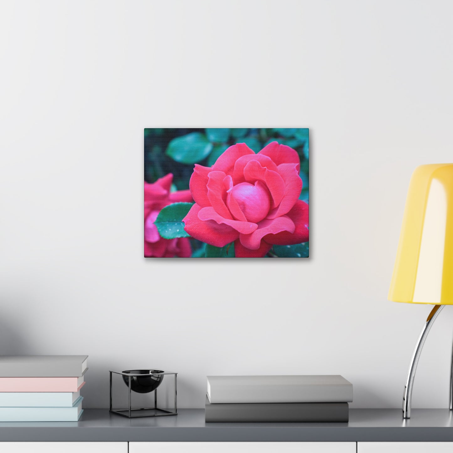 Radiant Rose