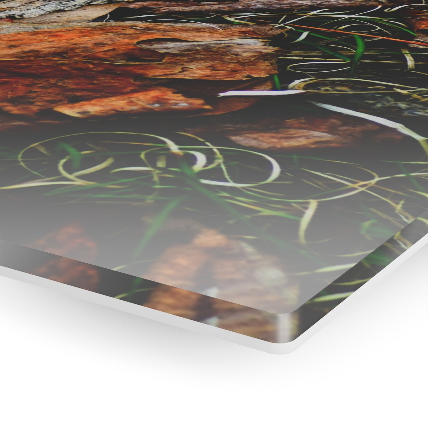 Nature-Inspired Fall Leaves Wall Art Decor