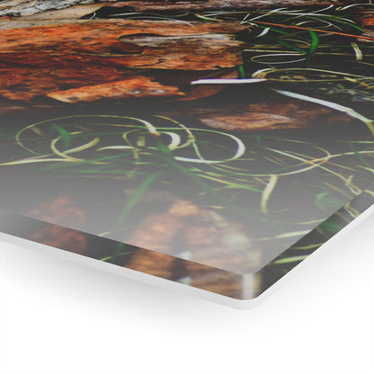 Nature-Inspired Fall Leaves Wall Art Decor