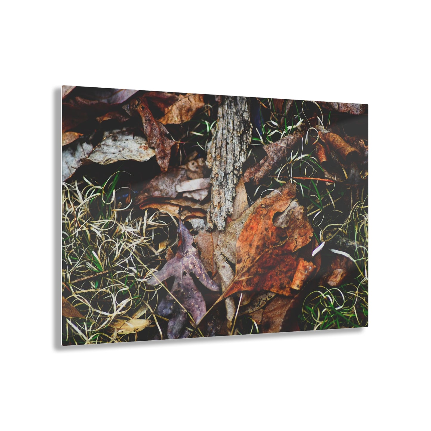 Nature-Inspired Fall Leaves Wall Art Decor