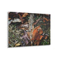 Nature-Inspired Fall Leaves Wall Art Decor