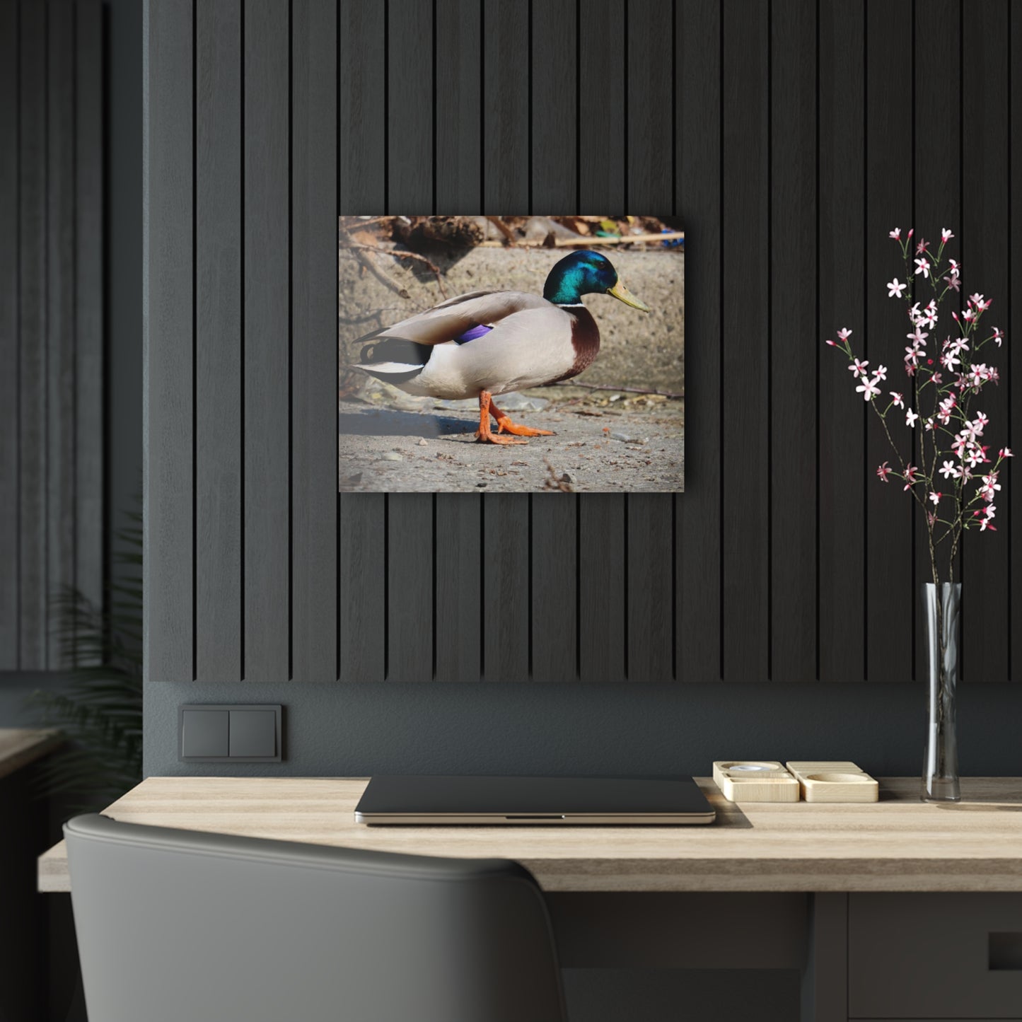 Chill Duck Chill