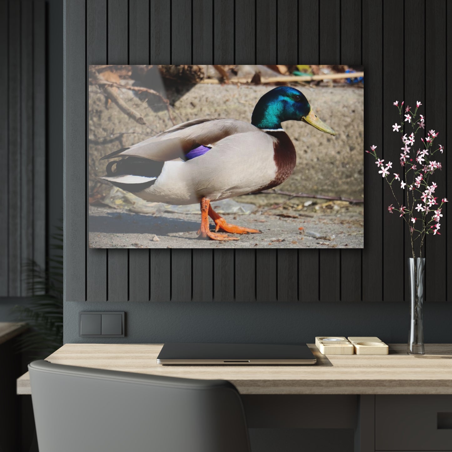 Chill Duck Chill