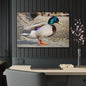 Chill Duck Chill