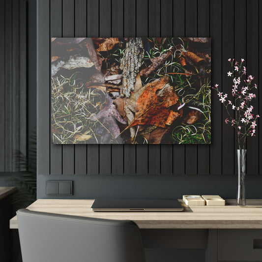 Nature-Inspired Fall Leaves Wall Art Decor