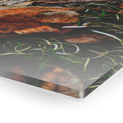 Nature-Inspired Fall Leaves Wall Art Decor