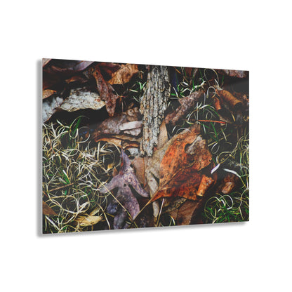 Nature-Inspired Fall Leaves Wall Art Decor