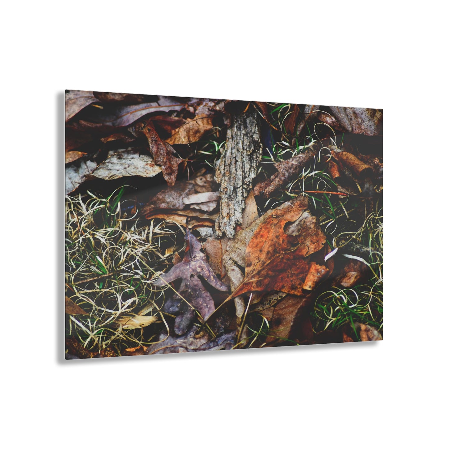 Nature-Inspired Fall Leaves Wall Art Decor
