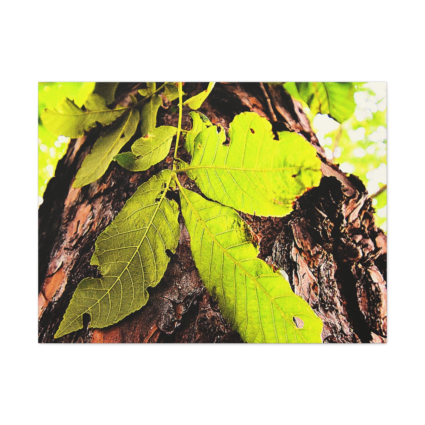 Tree of Imperfection