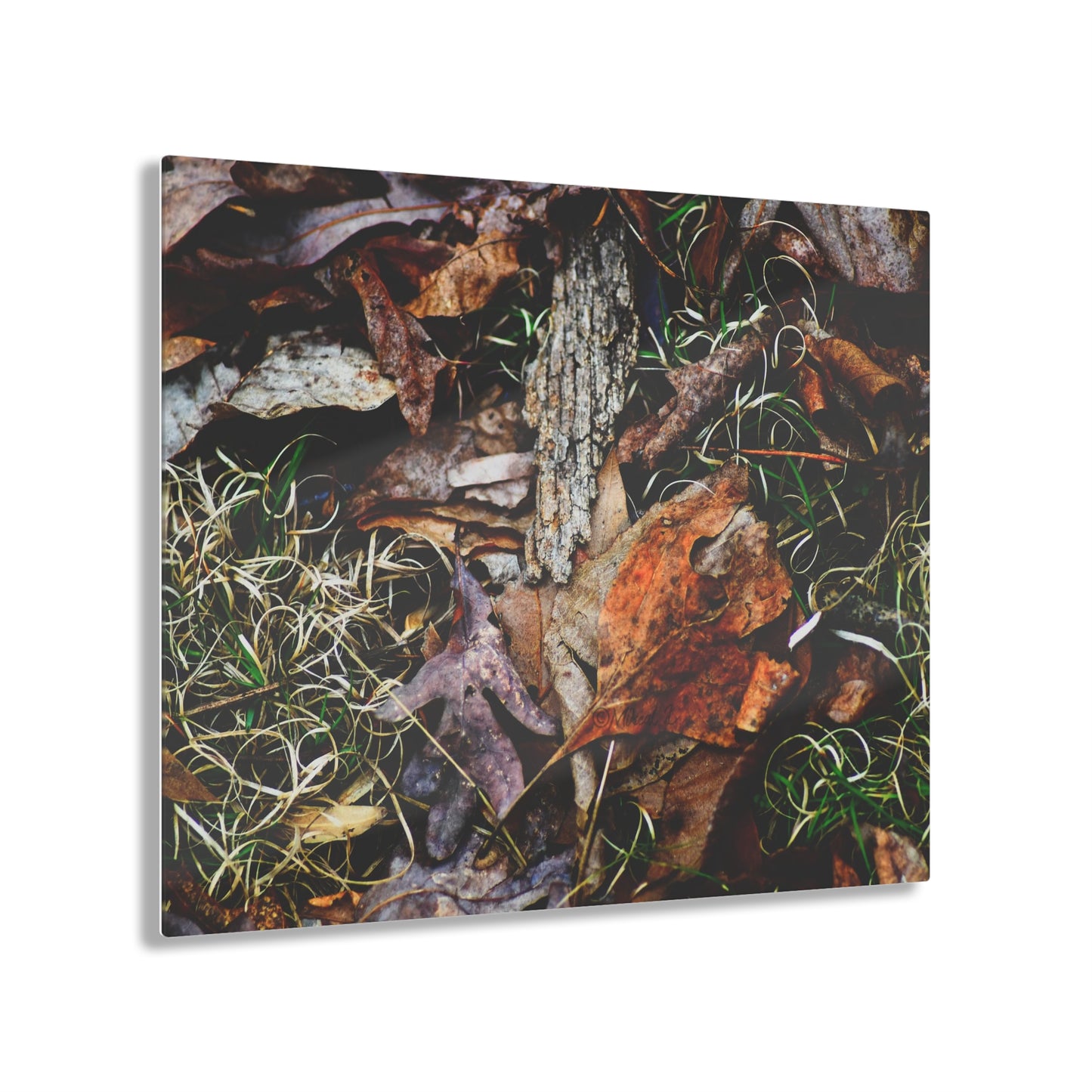 Nature-Inspired Fall Leaves Wall Art Decor